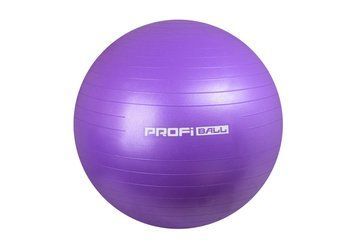 Фитбол мяч для фитнеса и йоги ProfiBall 55 см с насосом фиолетовый PB55wpvl фото