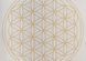 Килимок для йоги Bodhi Leela Flower of Life срібна хмара 183x60x0.45 см 896scb фото 2