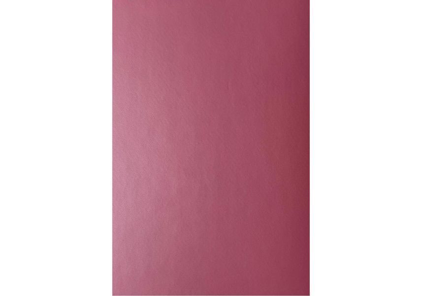 Килимок для йоги каучуковий Vimal Unalome Lotus Berry RAO 185&times;68&times;0.4 см rao103VULb4 фото