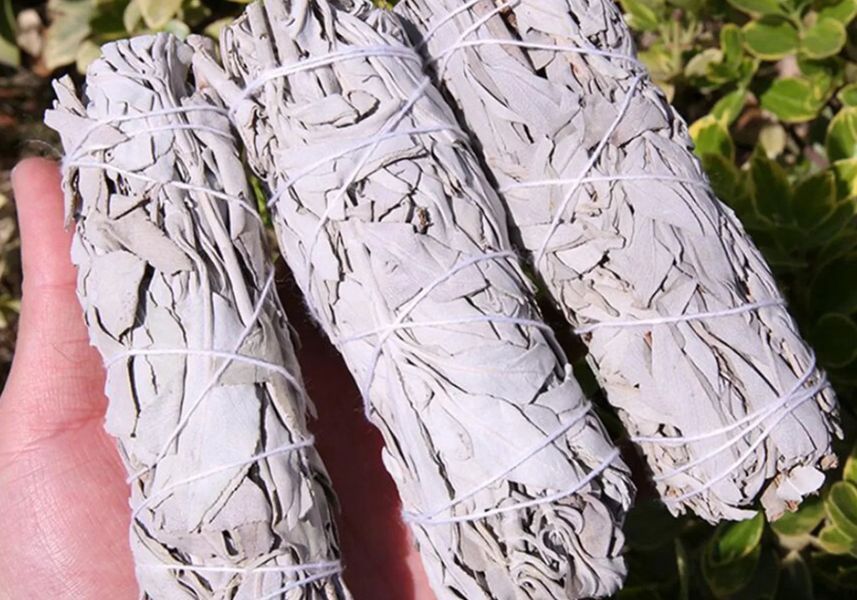 Каліфорнійська біла шавлія White Sage для обкурювання пучок 10 см 30-40 г arWSss3040 фото